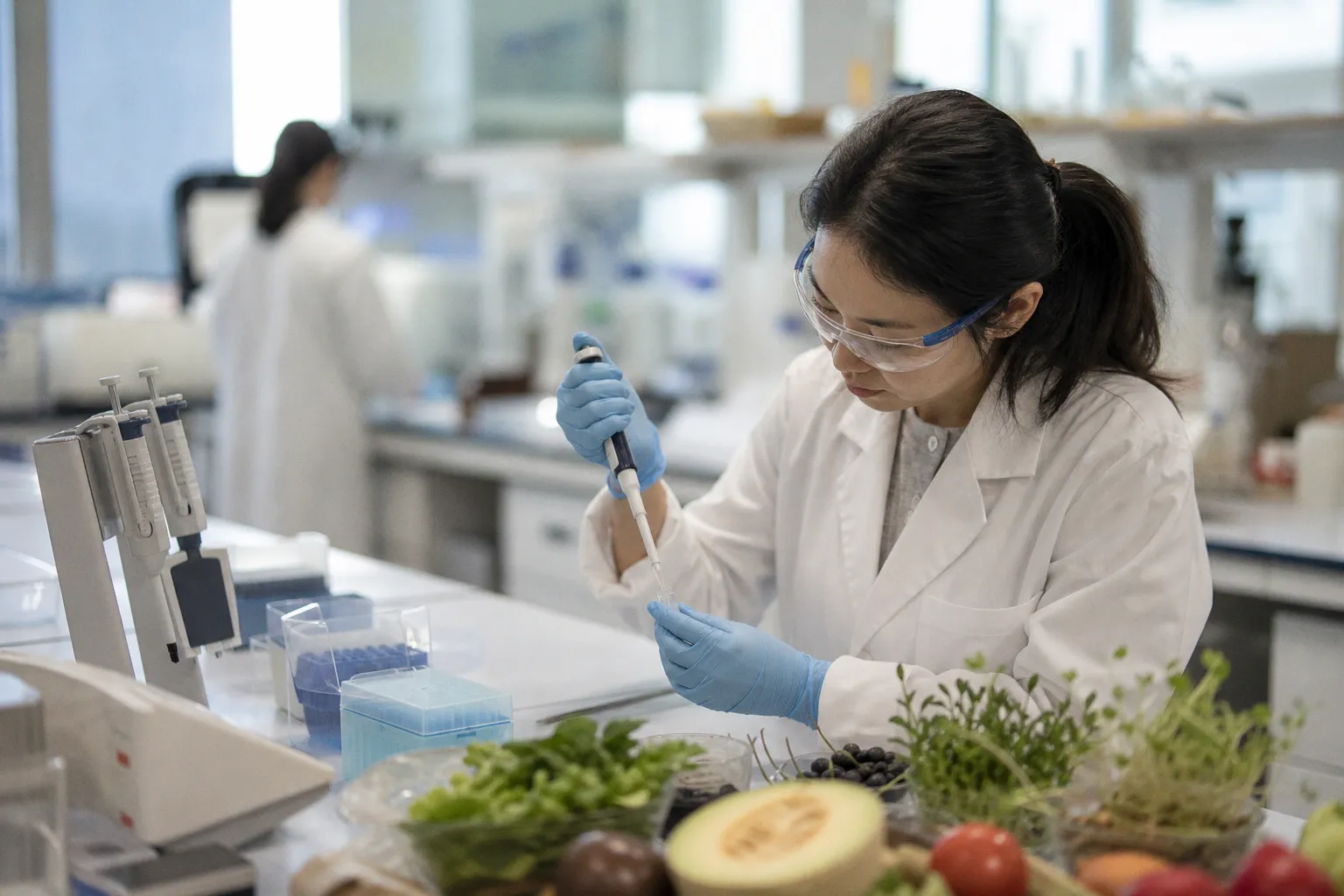 dsm-firmenich Awards 2026 Nutrition Research Grants for Healthy Longevity in Asia Pacific