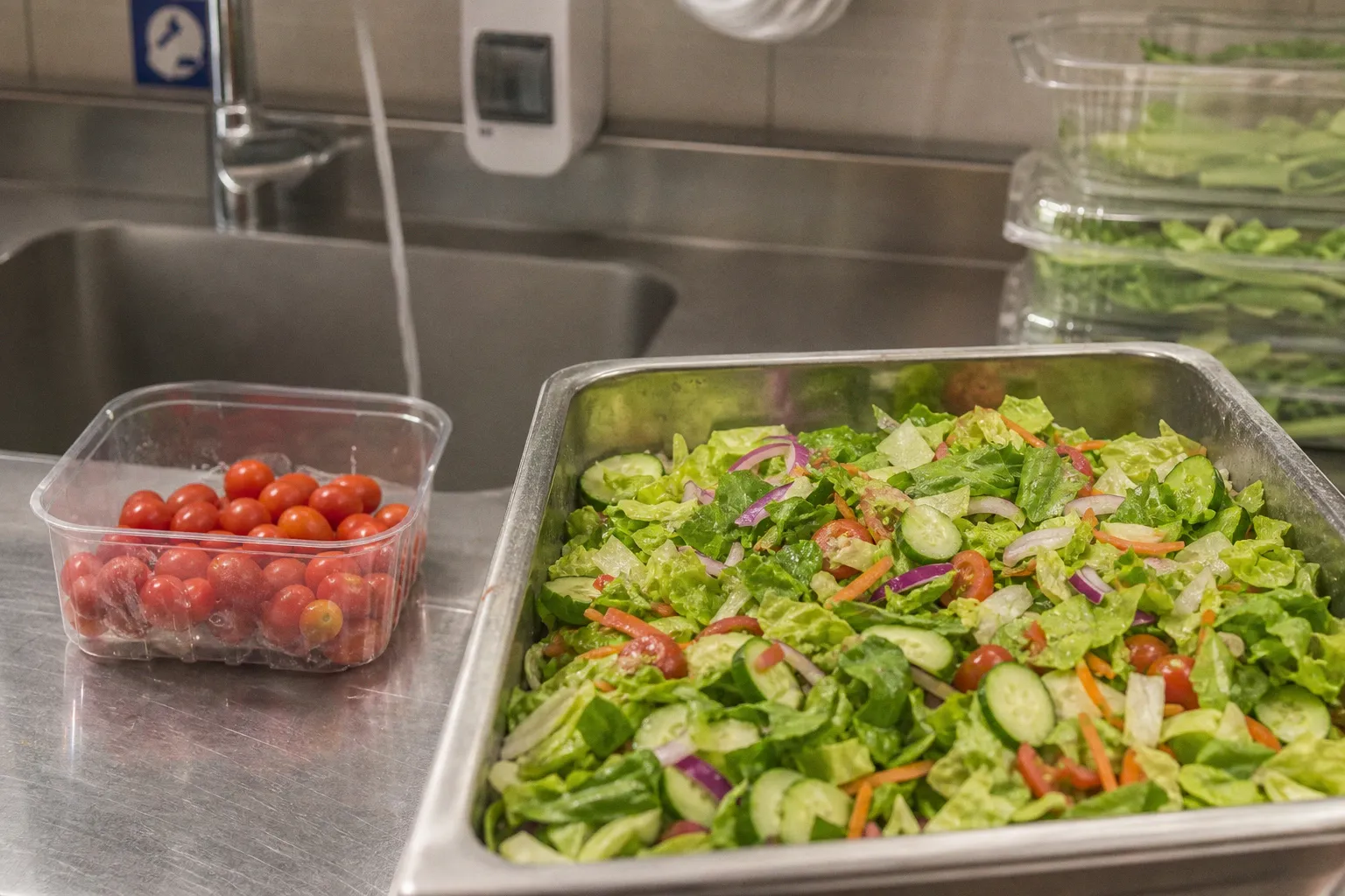 Identify the Big 6 foodborne pathogens for your safety audit